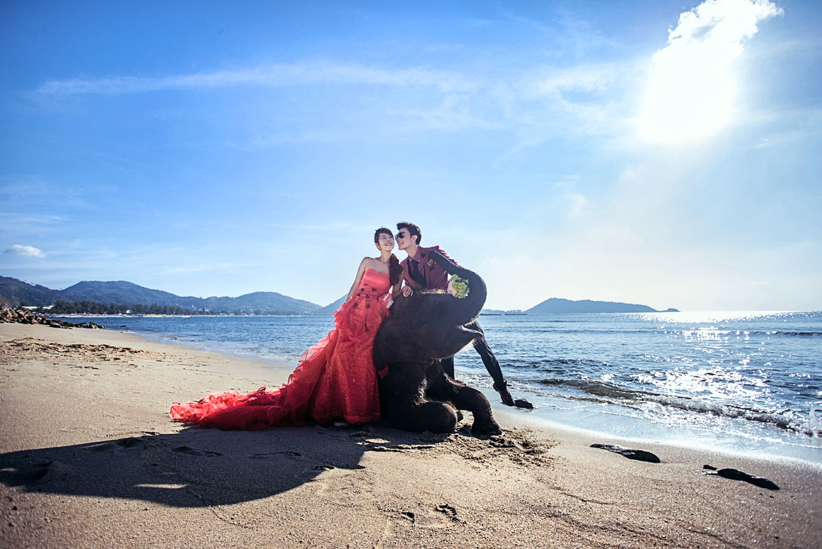 沙滩小象_西藏婚纱摄影