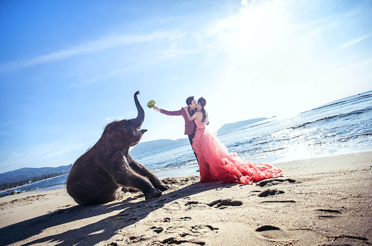 沙滩小象_西藏婚纱摄影